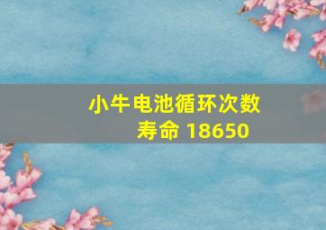 小牛电池循环次数寿命 18650